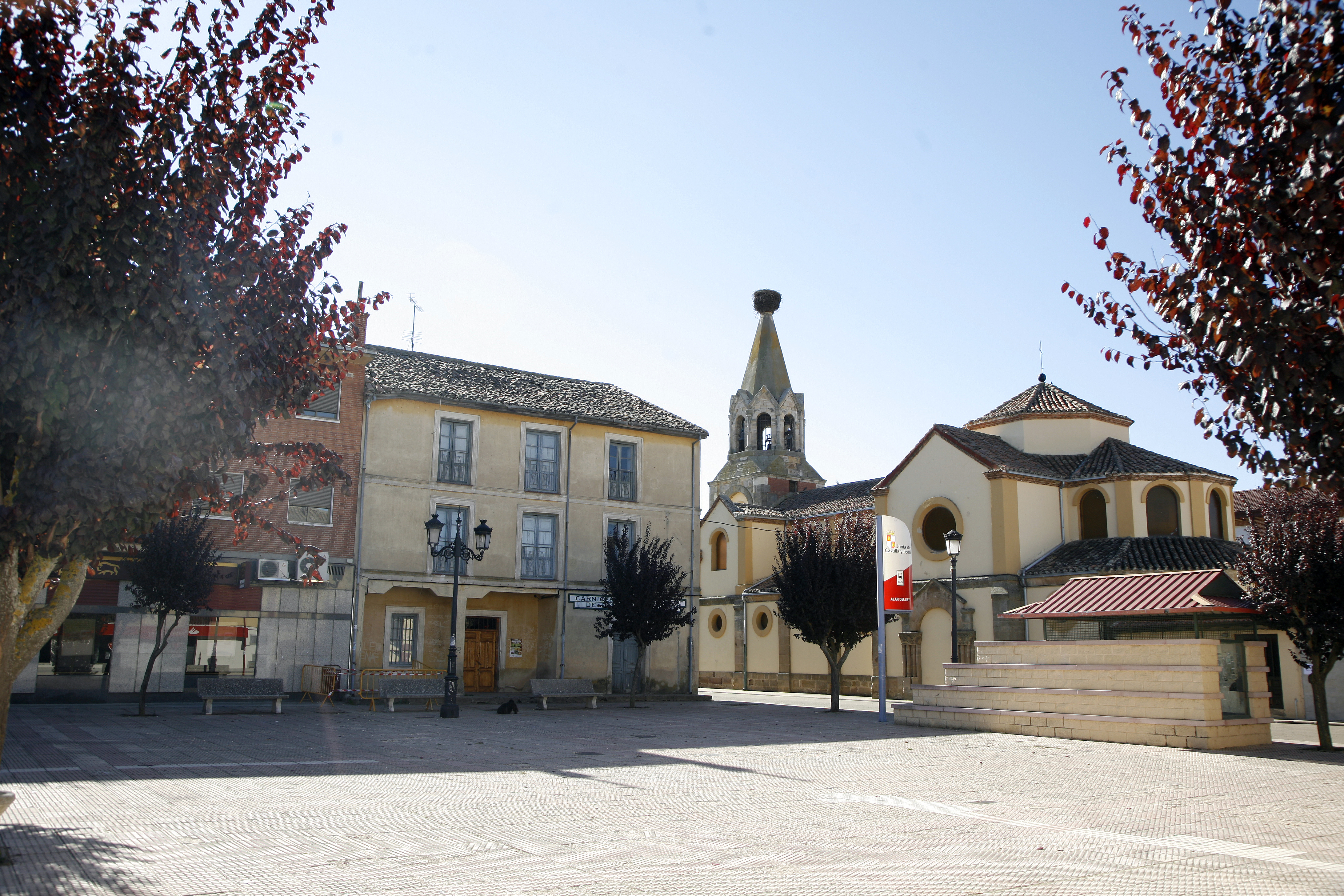 Alar del Rey