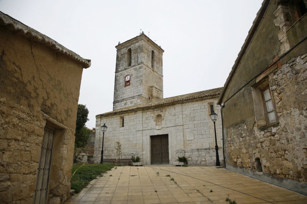Alba de Cerrato