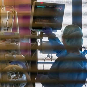 José Antonio Miranda